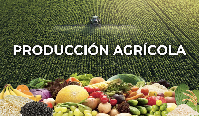 Producción agrícola